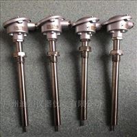 wzp赫(he)斯曼溫(wēn)度傳感(gan)器