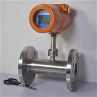 智能(néng)熱式氣體質(zhì)量流量計廠(chang)家